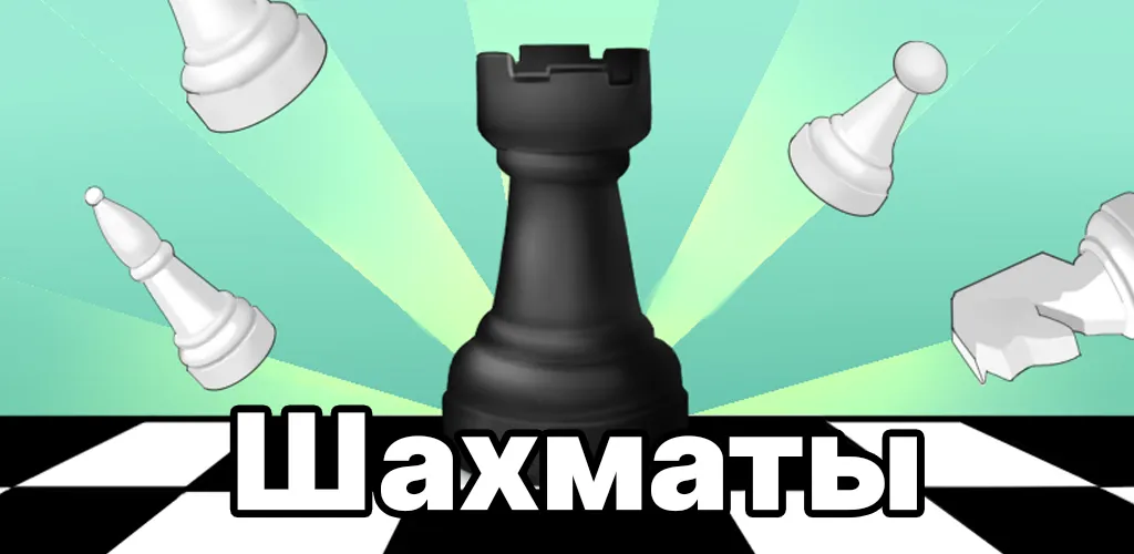 Шахматы